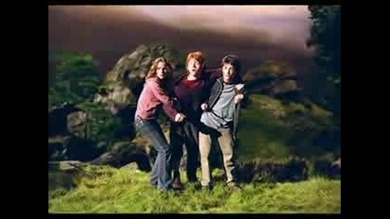 Harry Draco Hermione Ron Oliver