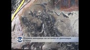 Откриха находище на динозаври в Чили