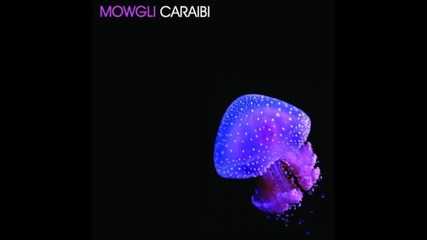 Mowgli - Flor De Cana (camel Remix) 