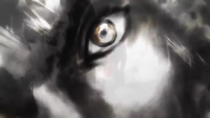 Amv Come 2 Die Akross 2011