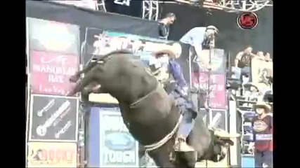 Dustin Elliott Vs. Short Notice 