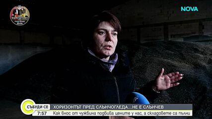 Защо хоризнотът на слънчогледа у нас не е слънчев