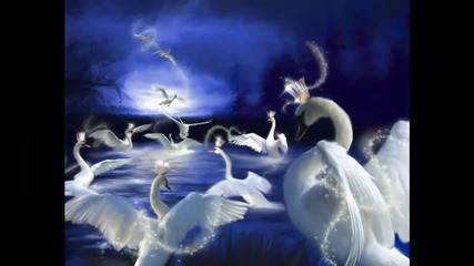 Белый лебедь -символ любви и добра...(анатолий Хоперский)