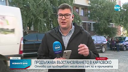Вътрешният министър тръгва на проверка за незаконна сеч в Карловско