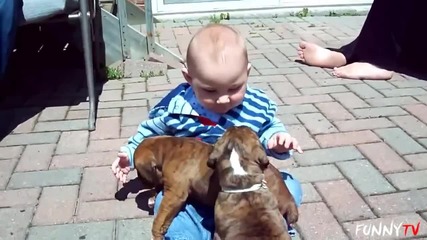 Puppies and Kittens Love Babies Compilation - Funnytv