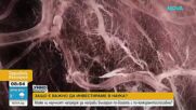 „Умно финансиране”: Защо е важно да инвестираме в наука