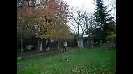 Counter Strike - Пародия