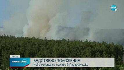 Трети ден продължава борбата с пожара между пазарджишките села Лесичово и Калугерово