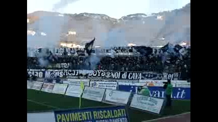 dale cavese sled gol