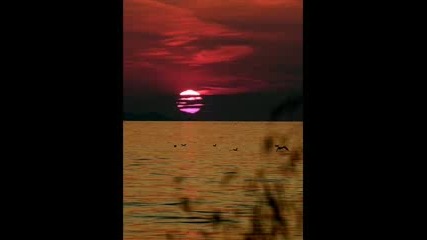 Ronnie Earl - Feel like going on