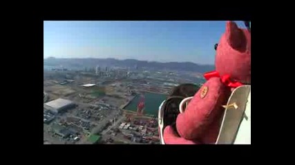 Rc Airplane With Pilot Teddy Bear