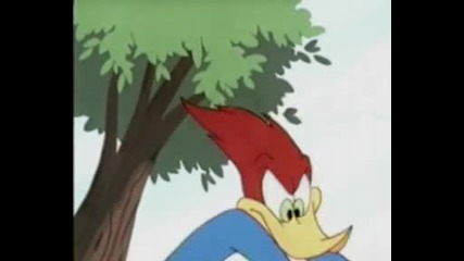 Woody_woodpecker--ant_rant