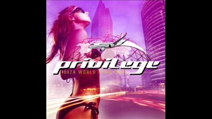 privilege ibiza 2010 mixed by java cd1 