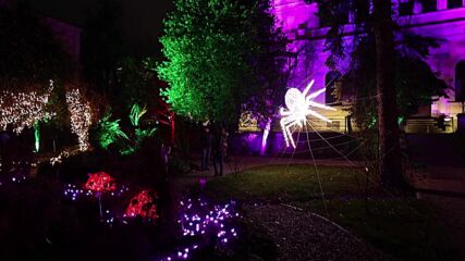 Фестивал на светлините озари Ботаническата градина в Сараево (ВИДЕО)