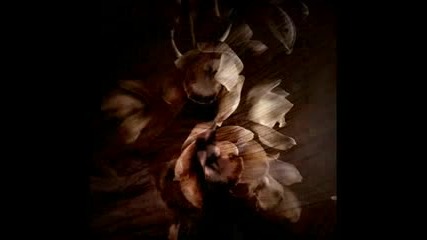 Dead Can Dance - Song Of The Dispossesed