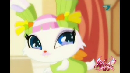 Love And Pet - Music Video (teaser)
