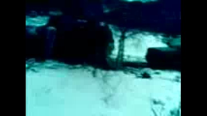 Митката Яхиново Дръпа Туйо Крайници 