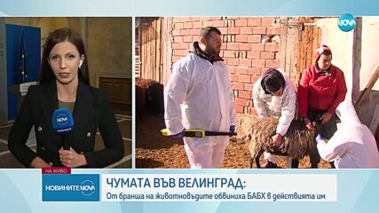 Финансовото министерство подготвя коледна добавка към пенсиите