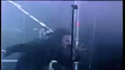 The Rasmus - Immortal 