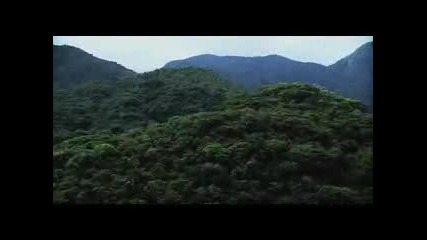 Turistas.trailer.2006.flv