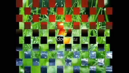 Wallpaper 2007