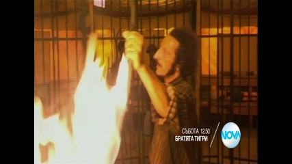 Забавен следобед с филмите в събота по Нова