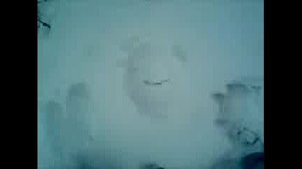 Freestyle.g.kremena