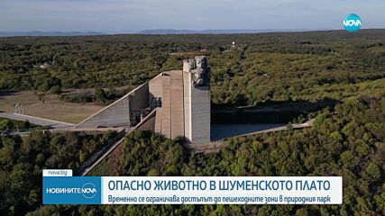 Затвориха парк в Шумен заради рядък хищник