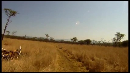 Mountain Biker gets taken out by Buck - Crazy Footage - Only in Africa
