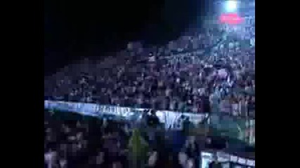 Сръбско Рада Zidovi