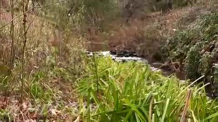 Mountain Stream Relaxation 2 - Pools & Falls 720p Hd 