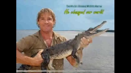 For Steve Irwin