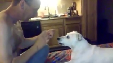 Dog 's Reaction To Disappearing Magic Trick