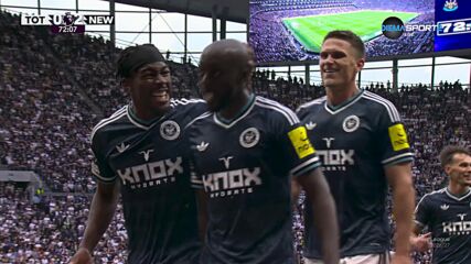 Goal by Newcastle United