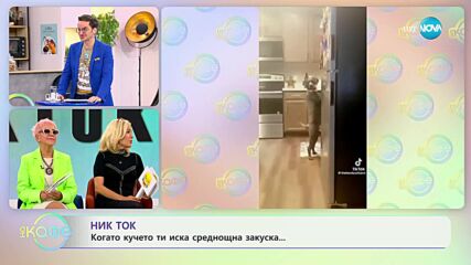 NikTok за домашните любимци - „На кафе” (10.10.2023)