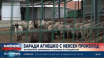Заради агнешко с неясен произход: Затвориха временно кланица в Кърджали