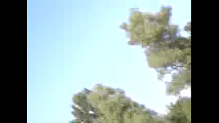 крадци на бус 