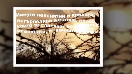 Тоника - Люлякови нощи