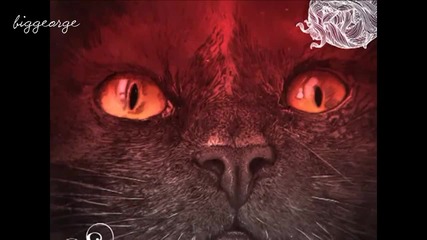 Mladen Tomic - True Story ( Original Mix ) [high quality]