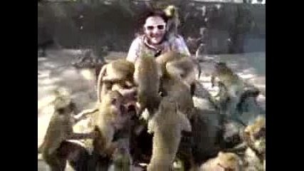 Нападение на маймуни 