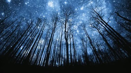 Maiia - Waves of Cosmic Inspiration