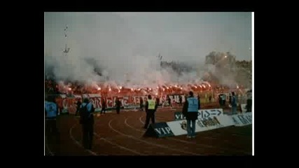 Crvena Zvezda Hooligans