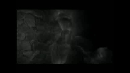 Tarja Turunen - Beauty of the beast - Fanmade music video