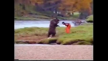 Бой между мъж и мечка - Смях 