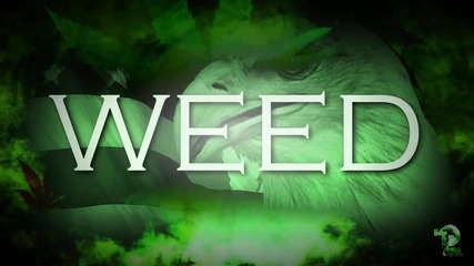 We The People vs. Weed The People
