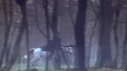 Peter Schilling - The Different Story (1988)
