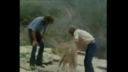 Christian The Lion - The Full Story (in Hq)