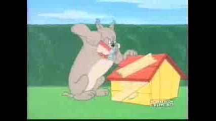 Tom & Jerry - The Doghouse
