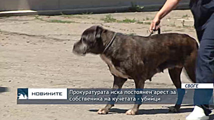 Собственикът на кучетата-убийци остава в ареста