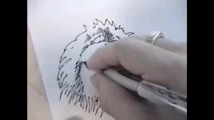 Как Да Нарисуваш Лъв